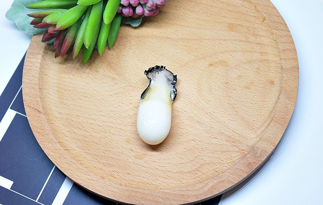 >>黏土系列-胖蚵仔- =>磁铁系列 #冰箱.黑板磁铁# #Fake Food# - 冰箱贴/磁贴 - 粘土 白色