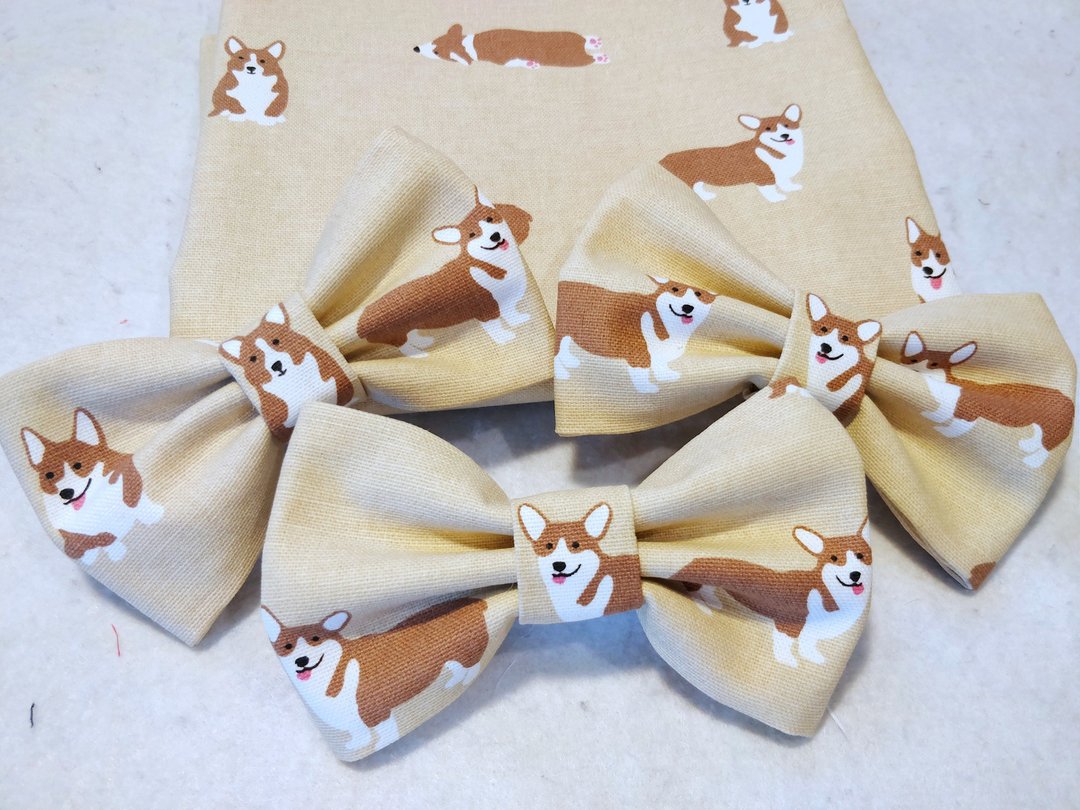 宠物 猫犬 狗狗 哥基犬 型仔 煲呔 颈带 - 项圈/牵绳 - 棉 卡其色