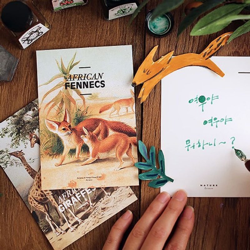 BY NACOO-彩绘明信片组(24入)-动物园,BNC11224 - 卡片/明信片 - 纸 多色