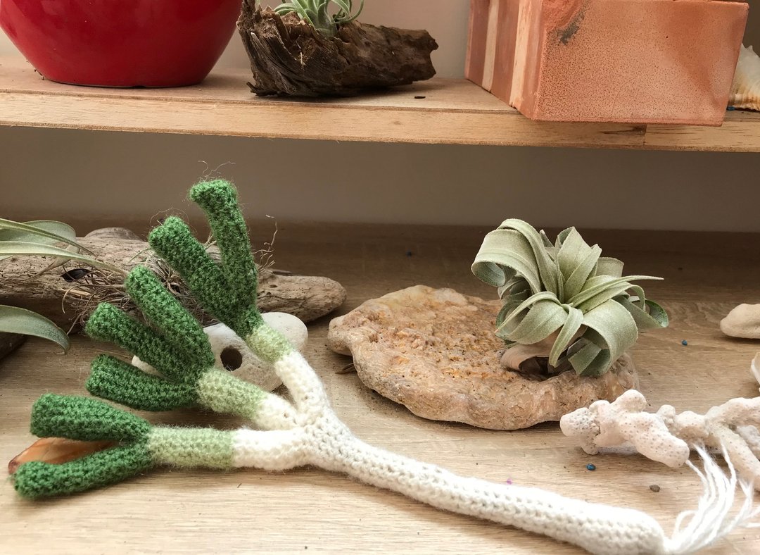 Green onion cat grass口爱手工编猫草造型青葱玩具 - 玩具 - 其他材质 绿色