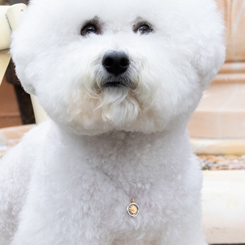 时间螺丝齿轮硬币宠物项链 - 外出包 - 纯银 