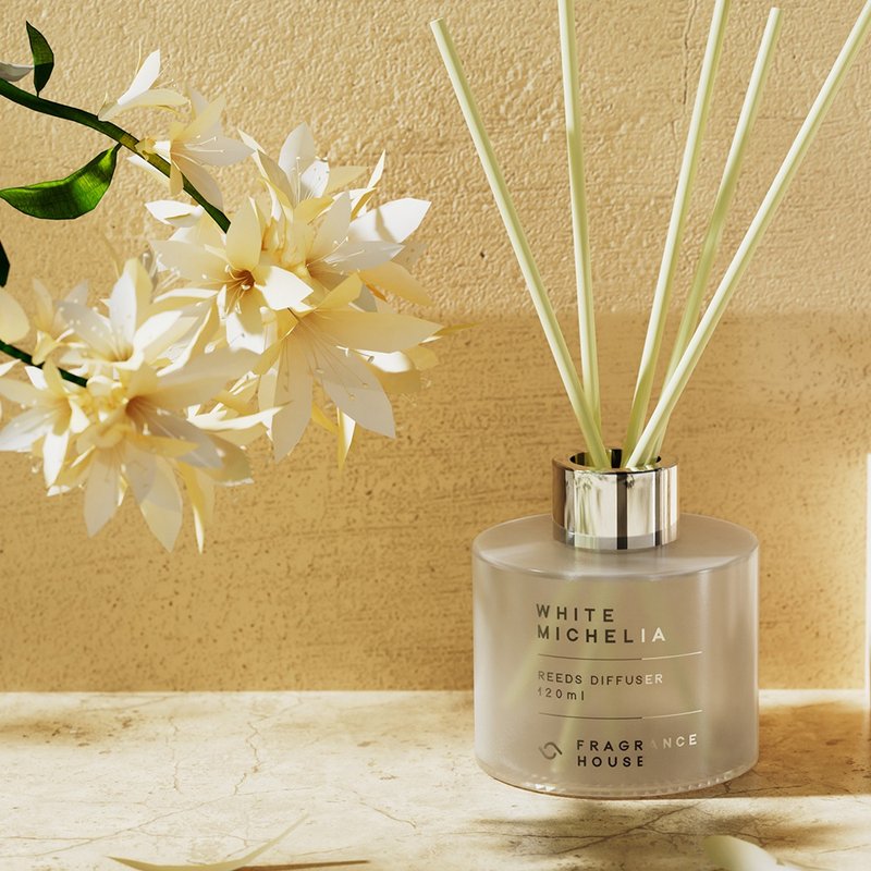 藤枝香薰 120ml | 34种香调选择 | 香薰 礼物 交换 香氛 香港手调 - 香薰/精油/线香 - 玻璃 