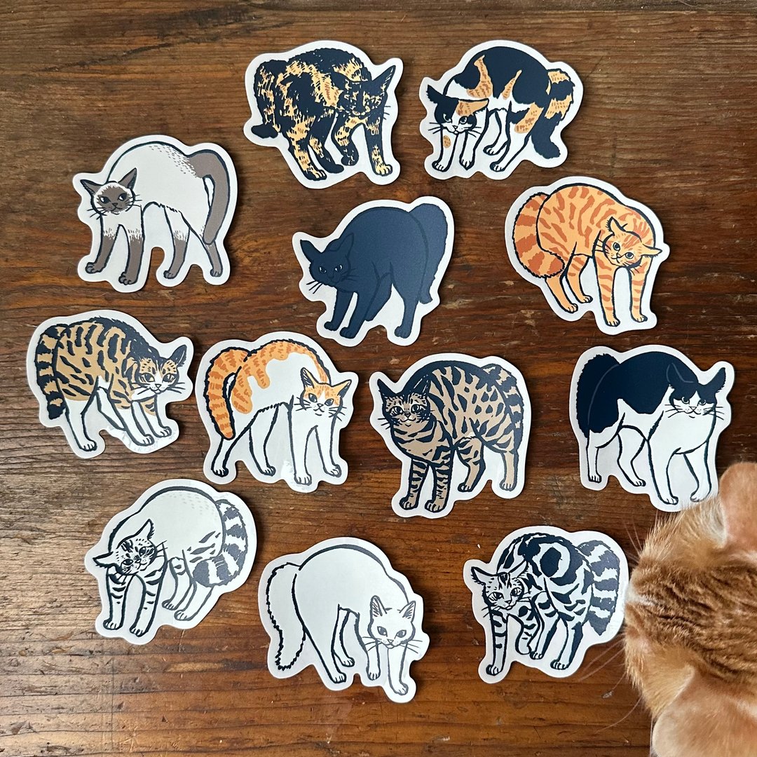 炸毛猫 防水贴纸 - 贴纸 - 塑料 多色