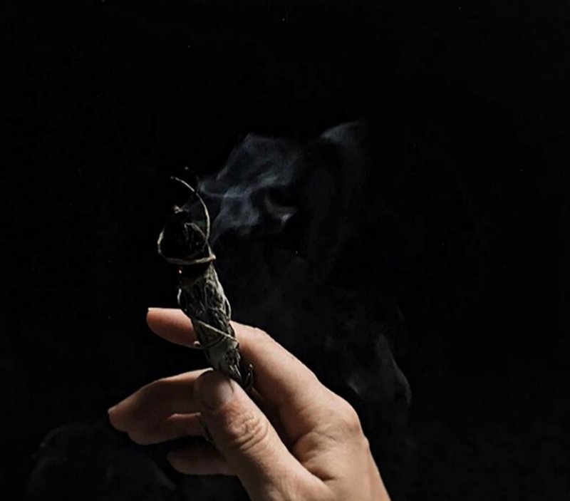 【空间净化 疗愈舒眠】植物薰香 白鼠尾草 / 玻璃瓶装 - 干燥花/捧花 - 植物．花 白色