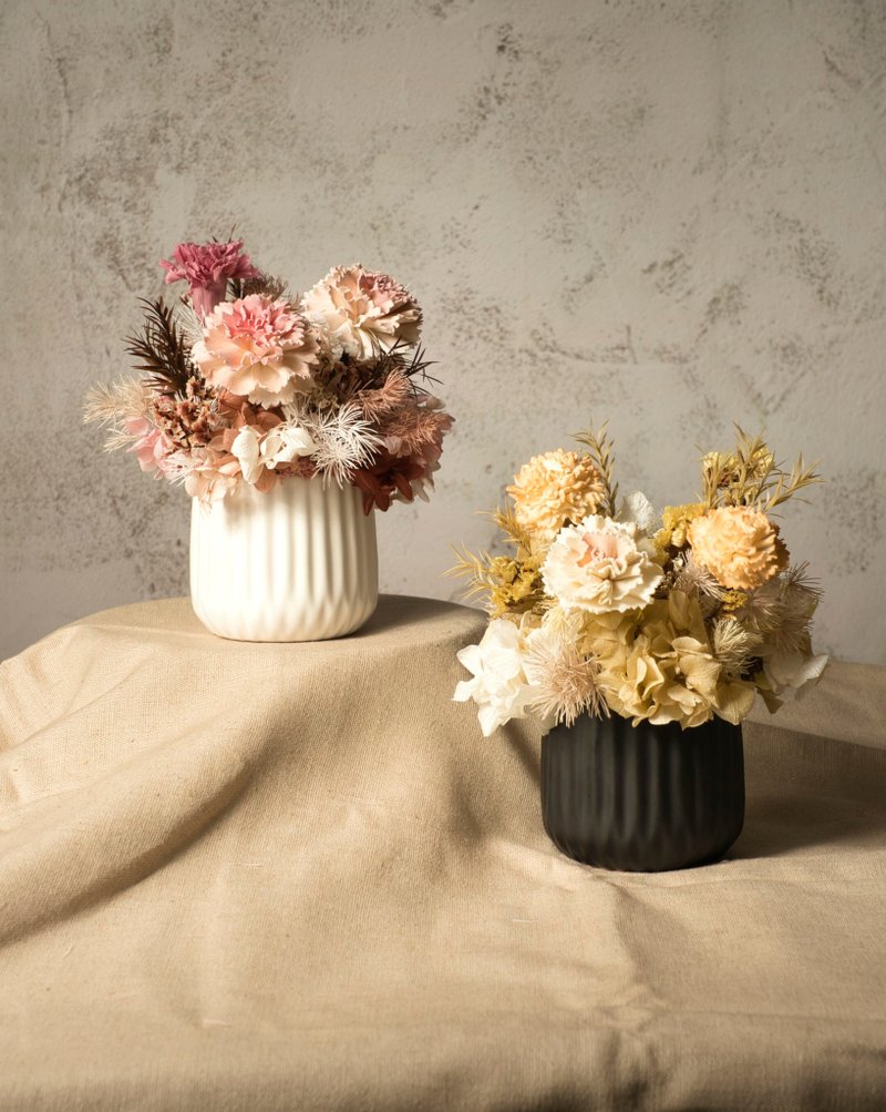 母亲节掌馨微光永生花礼 - 暖阳澄永生盆花 - 干燥花/捧花 - 植物．花 橘色