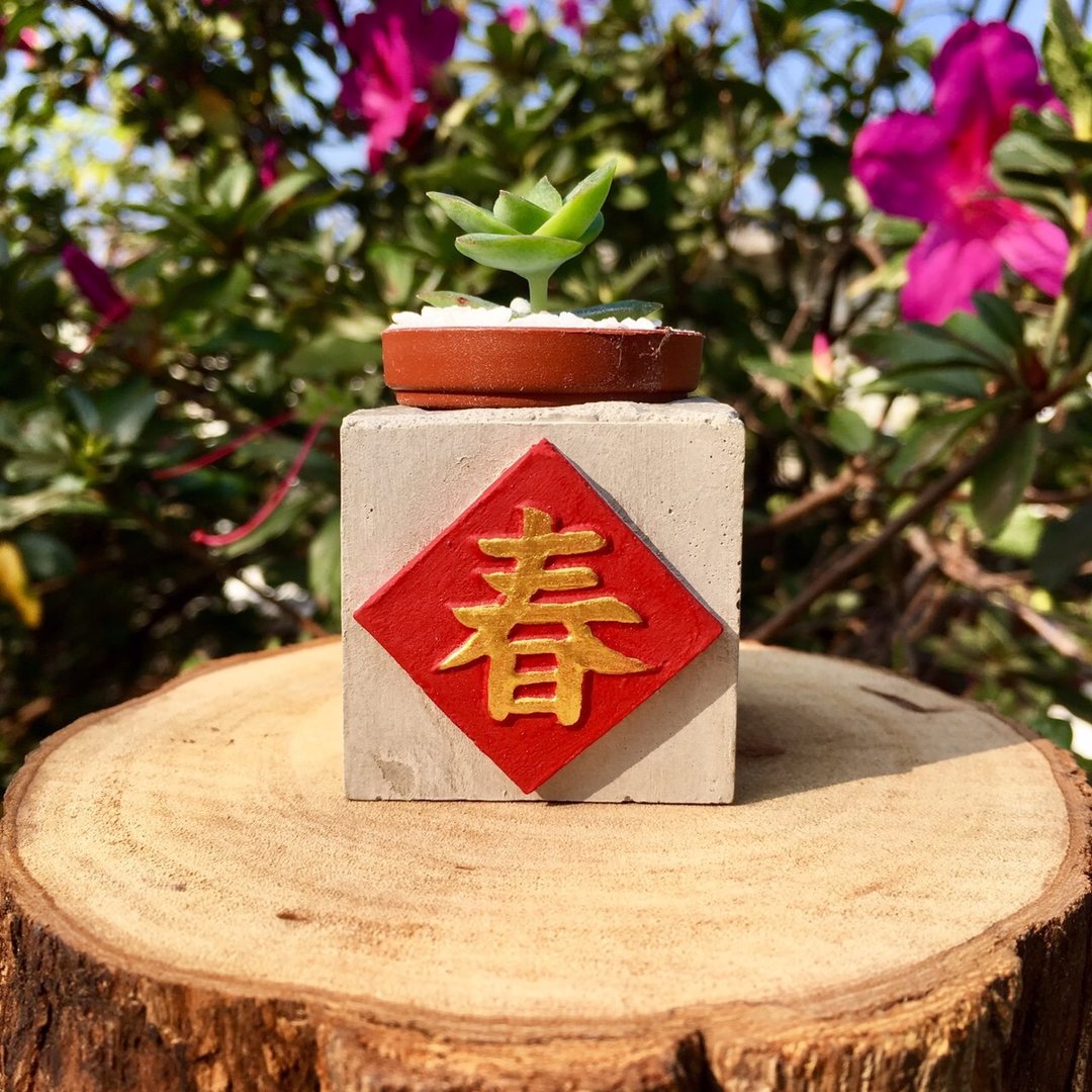 春  红通通!!新年磁铁盆栽 送多肉植物 - 植栽/盆栽 - 水泥 红色