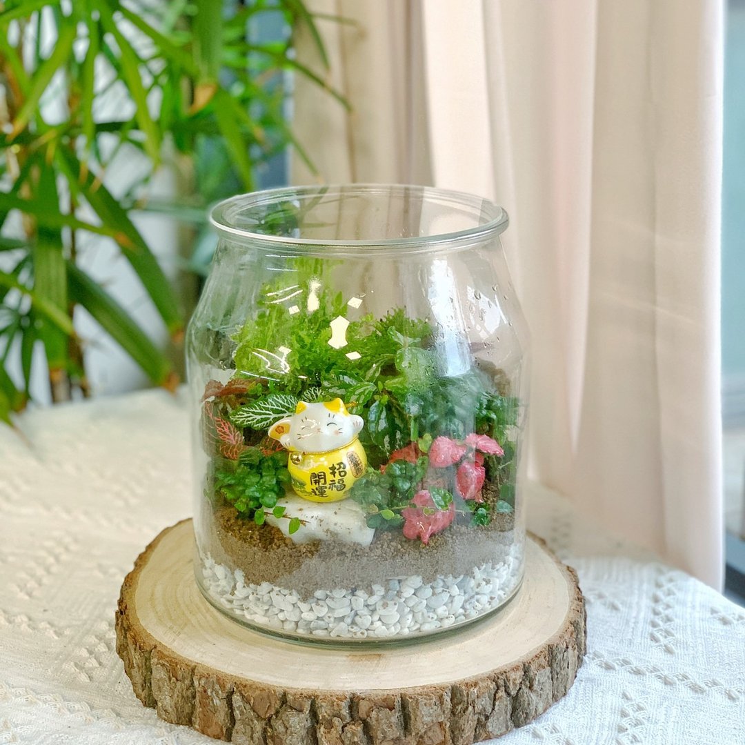 【新竹】【体验】【赠品】Terrarium水晶花园 .生态瓶.送酵素 - 植栽 - 植物．花 