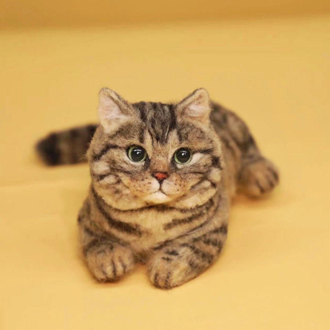 定制化礼物 逼真猫猫 羊毛毡 毛孩 宠物 娃娃 猫咪猫奴 似颜绘 e5 - 玩具 - 羊毛 多色