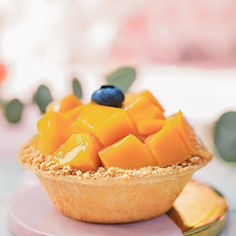 芒果奶酪塔(三寸) 四入组_当季最鲜甜的滋味 - 蛋糕/甜点 - 新鲜食材 橘色