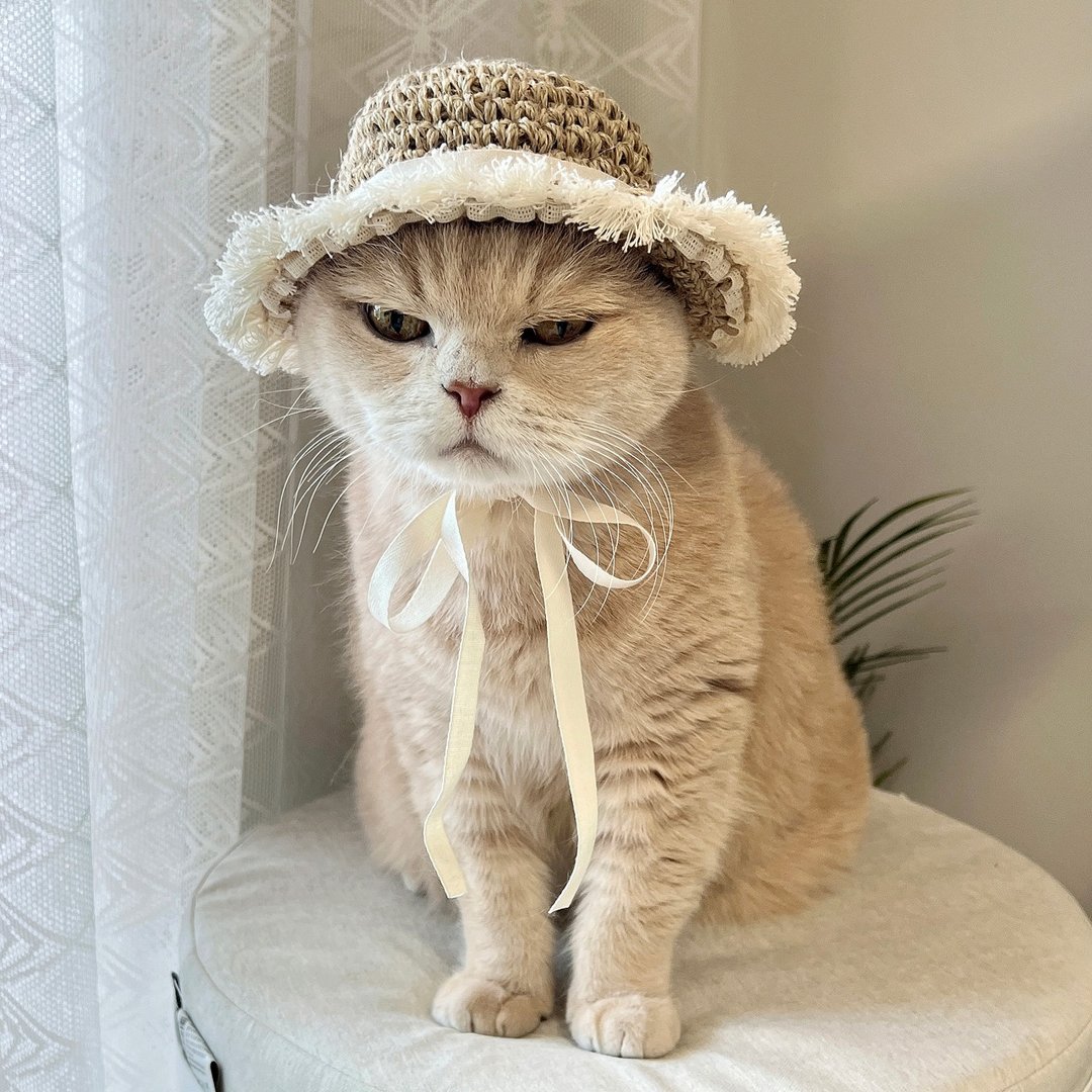 Korean Designer Brand 夏季草帽寵物帽 貓狗適用. 01 - 衣/帽 - 棉 