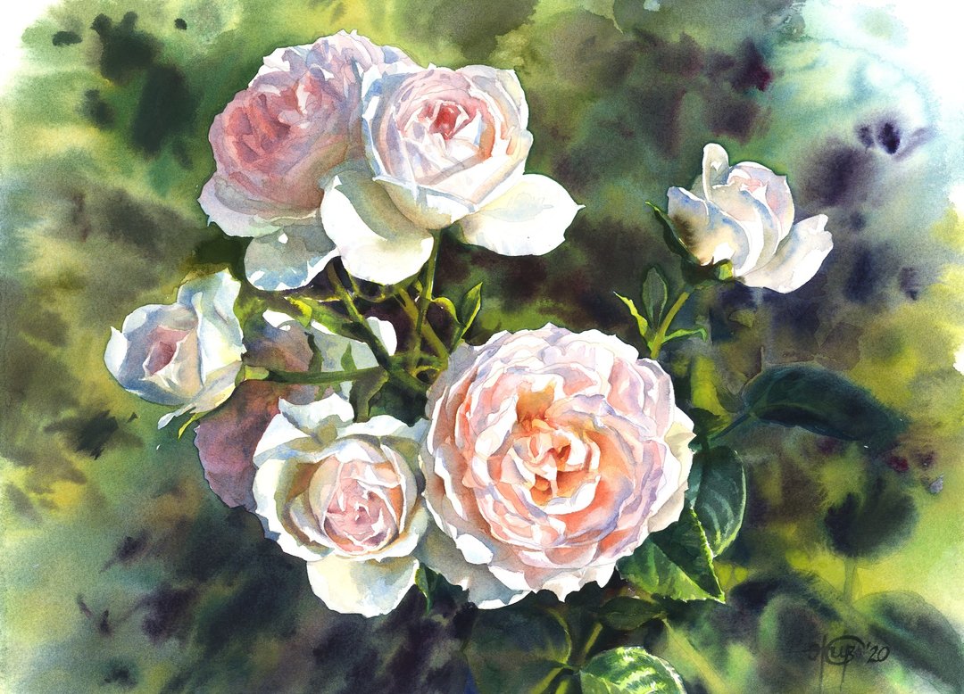 Roses original watercolor painting by artist Irina Zhunaeva - 墙贴/壁贴 - 纸 多色