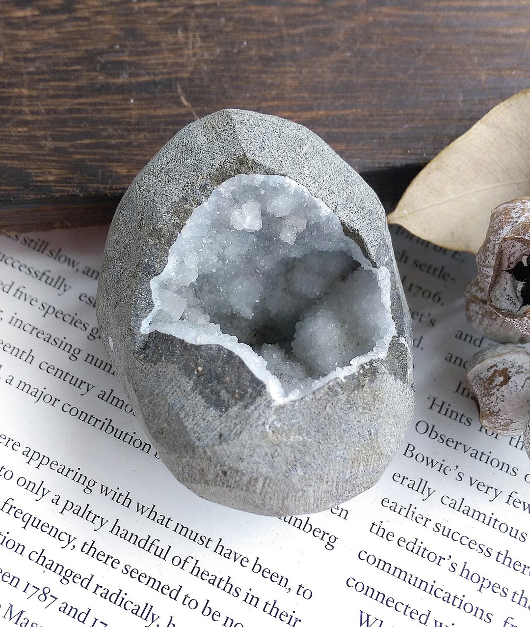Apophyllite 印度产地  鱼眼石 石窝晶洞 天然矿石 原矿 - 摆饰 - 其他材质 