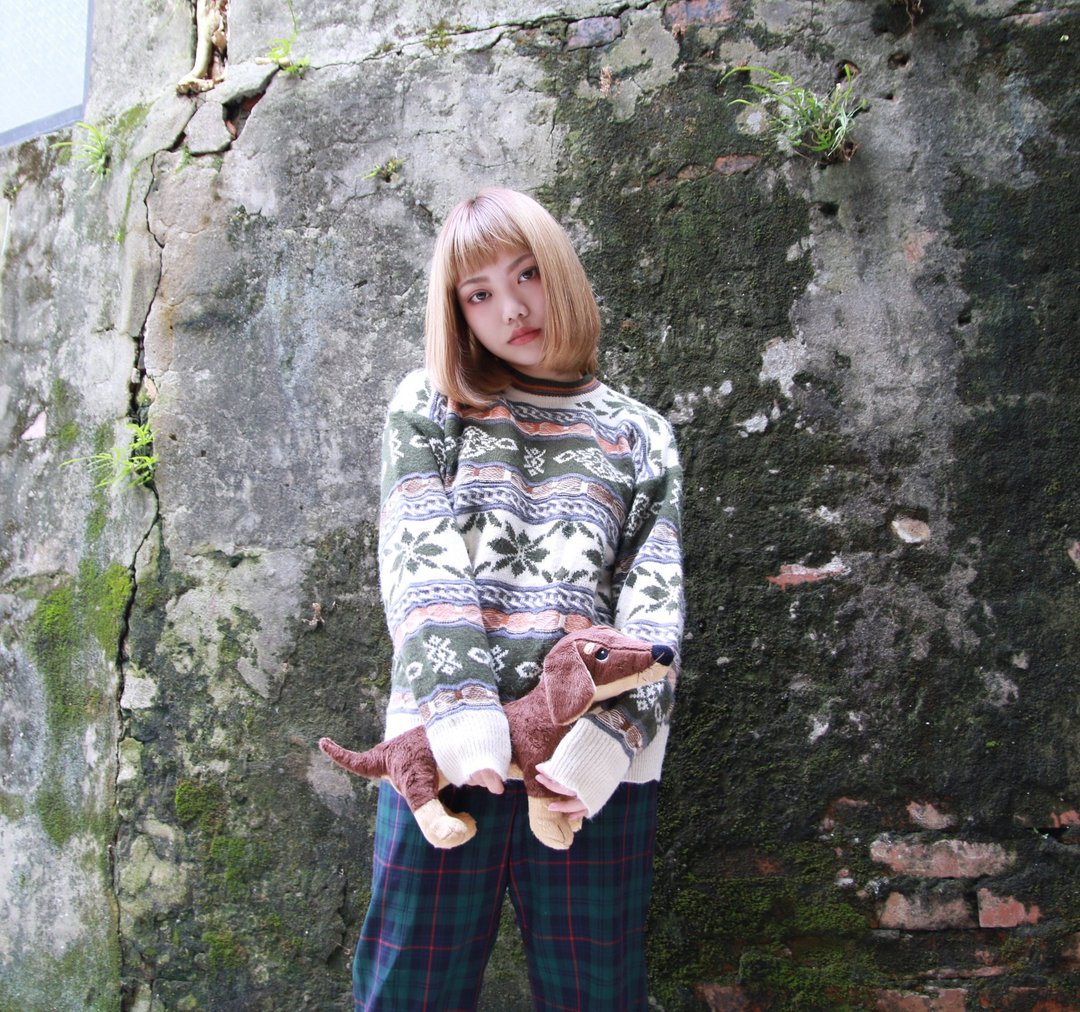 Back to Green:: 图腾遍布  vintage sweater （ST-07） - 女装休闲/机能外套 - 棉 透明
