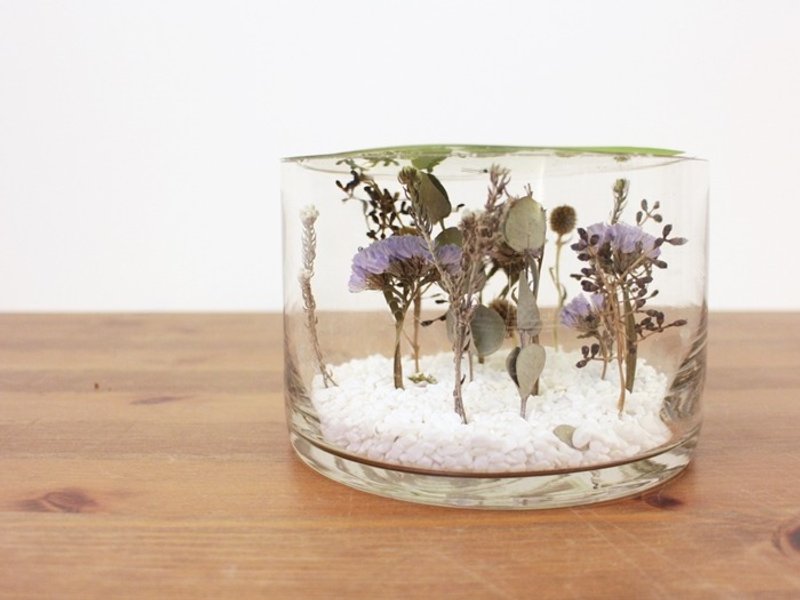 花的显微镜 - 植栽 - 植物．花 紫色