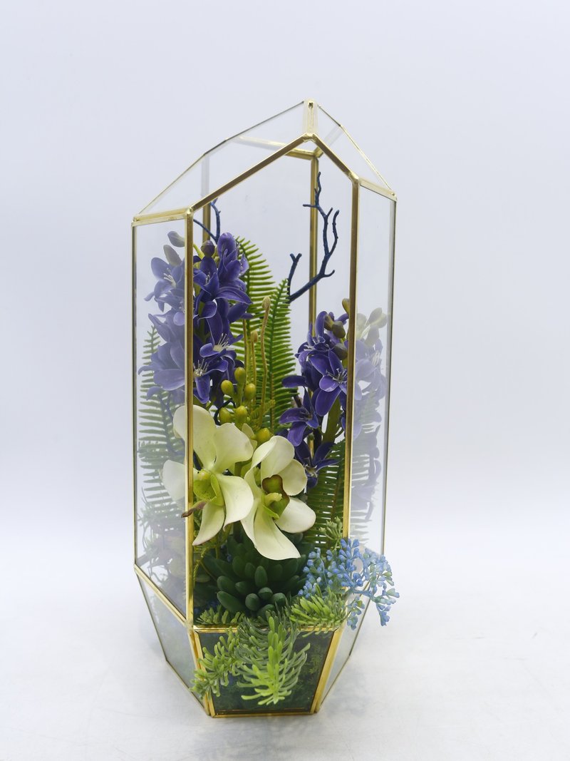 风信子万代兰温室生态玻璃 包邮专人配送限双北市 其余地区需补运 - 植栽/盆栽 - 其他材质 绿色