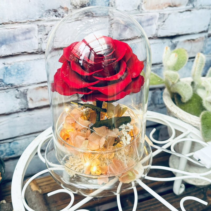 小王子的玫瑰 全透明微景观 厄尔瓜多 永生玻璃花盅 - 摆饰 - 植物．花 