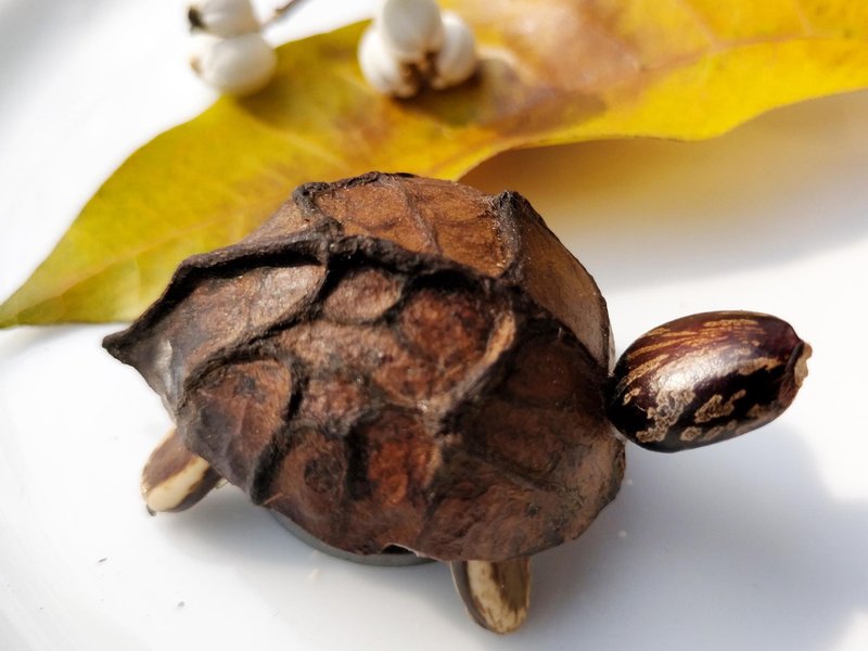 乌龟磁铁 - 摆饰 - 植物．花 