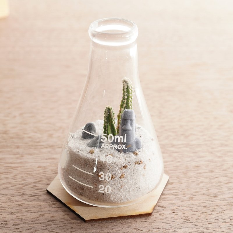 摩艾与50ml锥形烧杯的微景【植物保固】 礼物 - 植栽/盆栽 - 玻璃 绿色