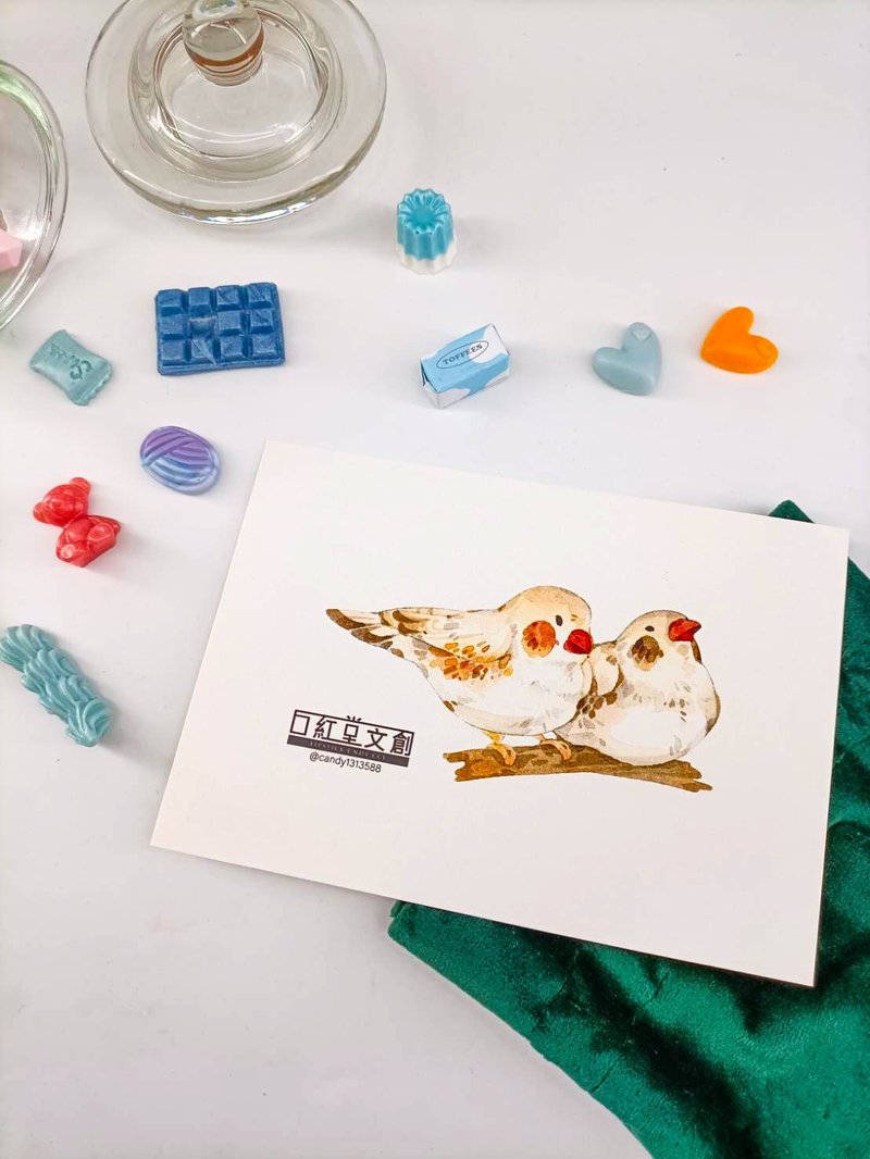 KR474_口紅堂明信片_文鳥6_candy1313588 postcard - 卡片/明信片 - 纸 多色