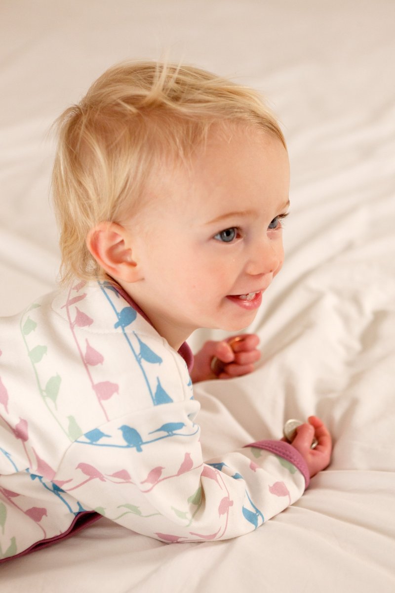 100%有机棉 粉底彩色小鸟 连身衣 英国生产制造 - 满月礼盒 - 棉．麻 多色