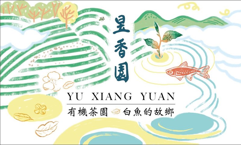 有机白鱼红茶三角茶包组(附提袋)│20包入│送礼首选简易组合│ - 茶 - 纸 白色