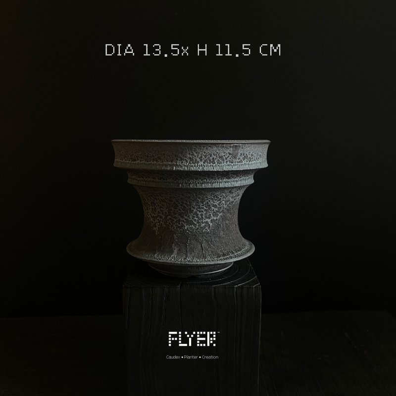 FLYER 块根多肉植物陶盆器 龙舌兰象牙宫象足漆树盆器 - 花瓶/陶器 - 陶 黑色