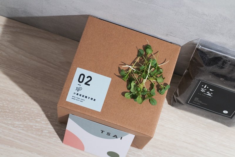 02小黑踏菜种子_入坑礼物盒 - 植栽/盆栽 - 植物．花 