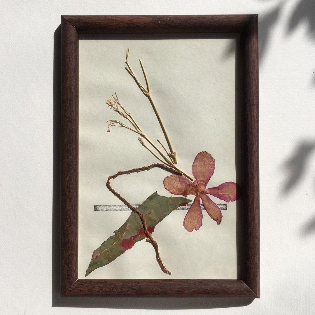 Ikebana series no.1 - 画框/相框 - 植物．花 