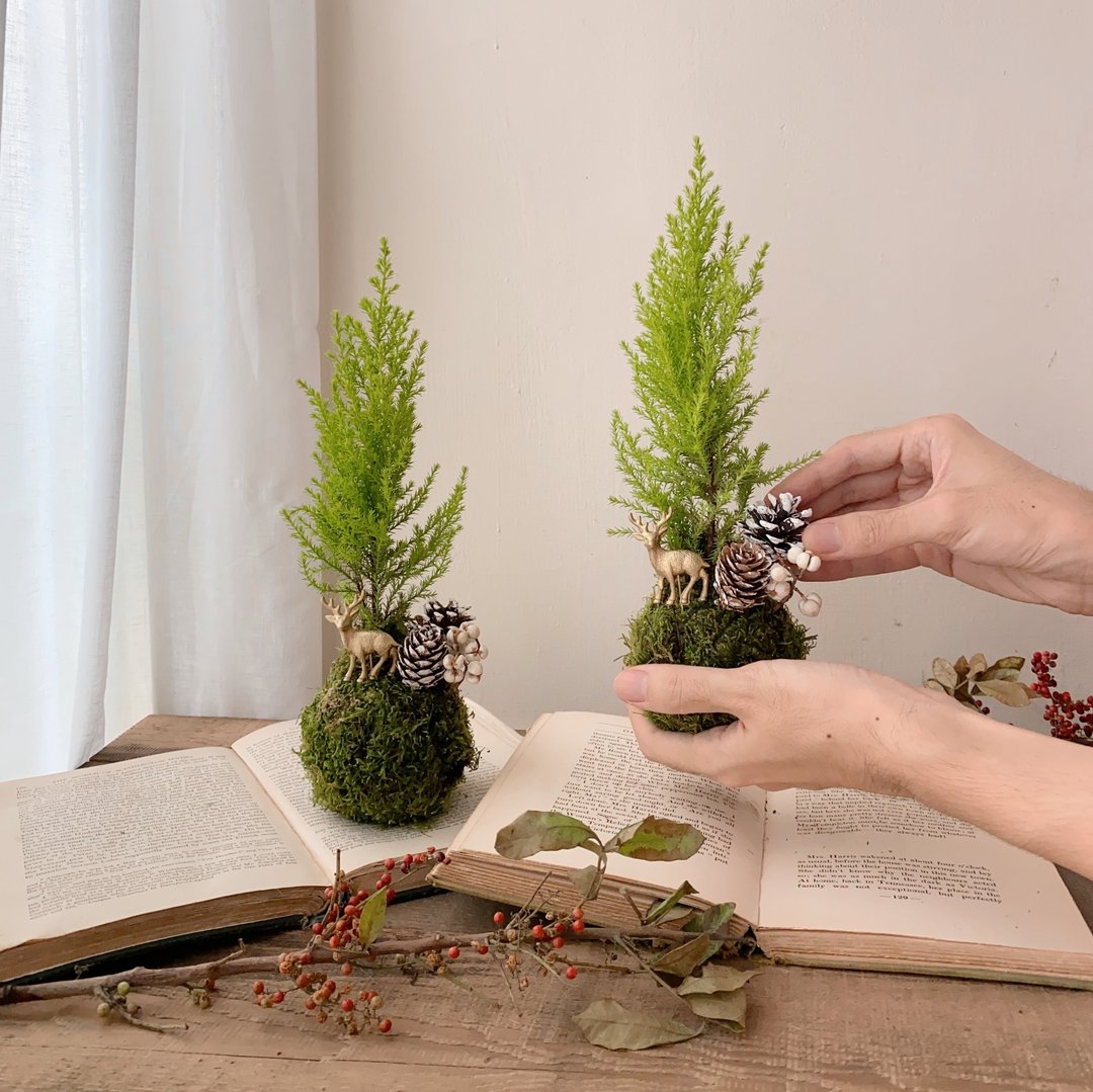 11/15 - 11/17 圣诞苔球手作体验 Pinkoi Design Fest - 植栽 - 植物．花 