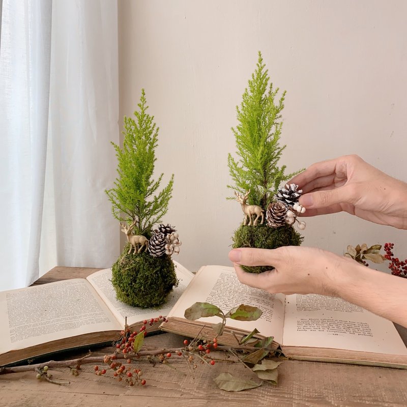 11/15 - 11/17 圣诞苔球手作体验 Pinkoi Design Fest - 植栽 - 植物．花 