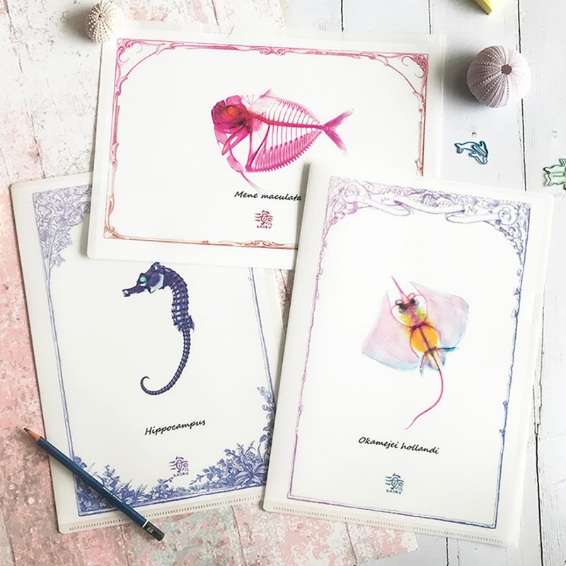 透明标本 古典文件夹 L夹 共3款 生物 - 文件夹/资料夹 - 塑料 透明