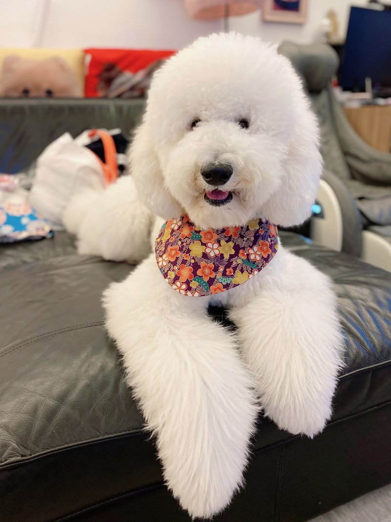 双面三角巾 猫狗项圈 四合扣  紫色日式花配搭动物也爱吃图案 - 项圈/牵绳 - 棉．麻 多色