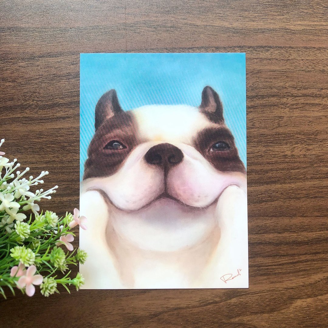 微笑动物明信片 12张 士奇 法斗 柴犬 科基 猫咪 兔子 - 卡片/明信片 - 纸 