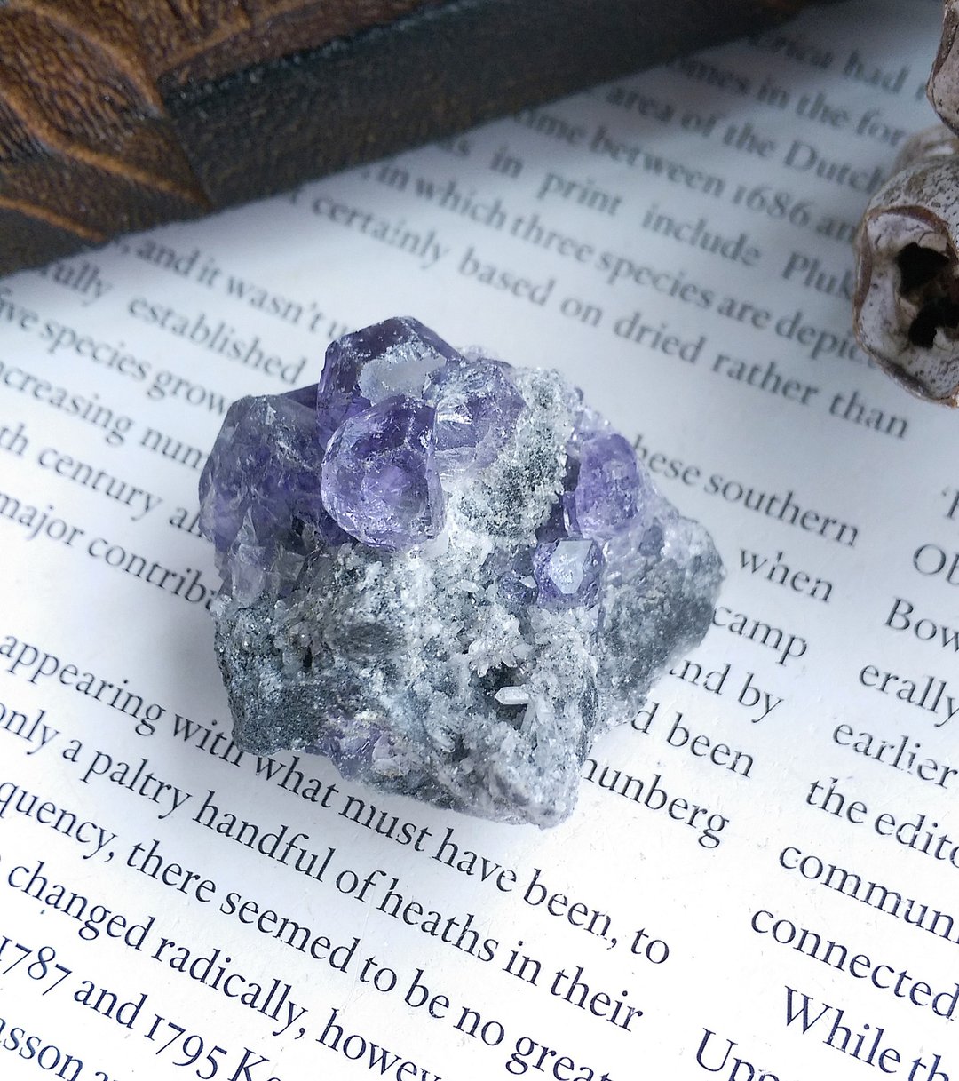 Fluorite  福建产地 清透 紫萤石 水晶共生 天然矿石 原矿 - 摆饰 - 其他材质 