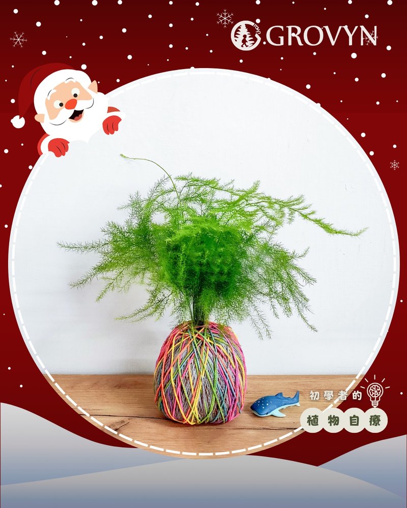 【彩织球】亲手编织一颗【会变色的】心之苔球・植物疗愈手作 - 植栽 - 植物．花 