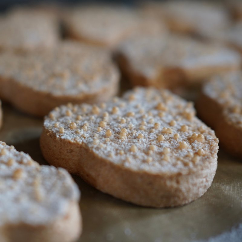 达克瓦兹专修/在线课程 - 美食 - 其他材质 