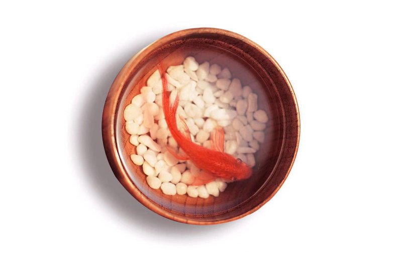 锦鲤送福 年年有余 红鲤鱼纯手绘多层树脂画 可私人定制 买二送一 - 摆饰 - 树脂 红色