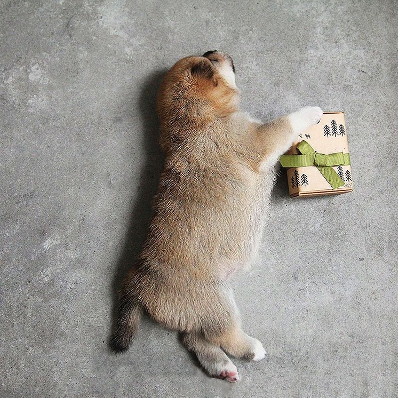 狗狗草本手工皂-除臭防蚤 冷制皂 x 1 - 清洁/美容 - 其他材质 绿色