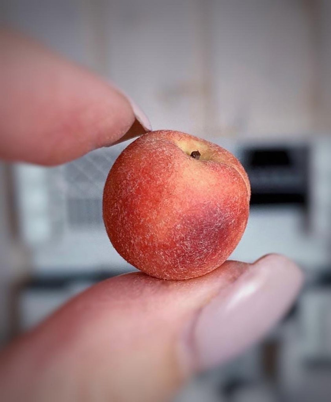Miniature peach. TUTORIAL polymer clay. Mini food. Miniature fruits clay. 薄煎饼. 薄 - 线上课程/教学影片 - 其他材质 
