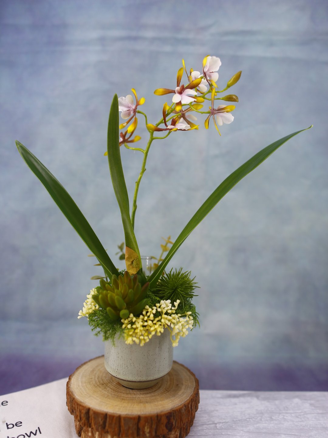 咖啡小兰花日式陶盆香氛花礼/入厝礼/开幕/乔迁/送礼/植栽 - 植栽/盆栽 - 其他材质 咖啡色