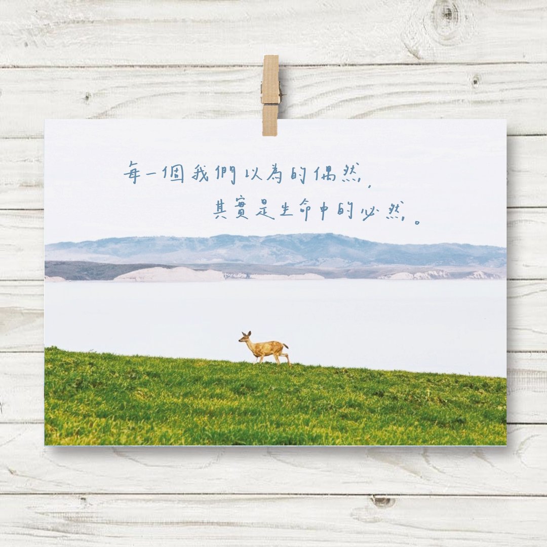 生命中的必然 / 明信片 (R) - 卡片/明信片 - 纸 蓝色