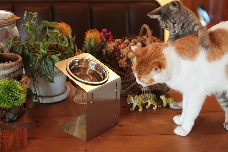 可上下调整的 稍微倾斜支架【大】可清洗的不锈钢饲料架 - 碗/碗架 - 其他金属 银色