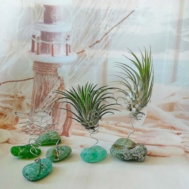 Sea glass Plant decoration 空氣鳳梨擺飾 Air Plant Holder/Tillandsia holder/Indoor pot - 其他 - 玻璃 绿色