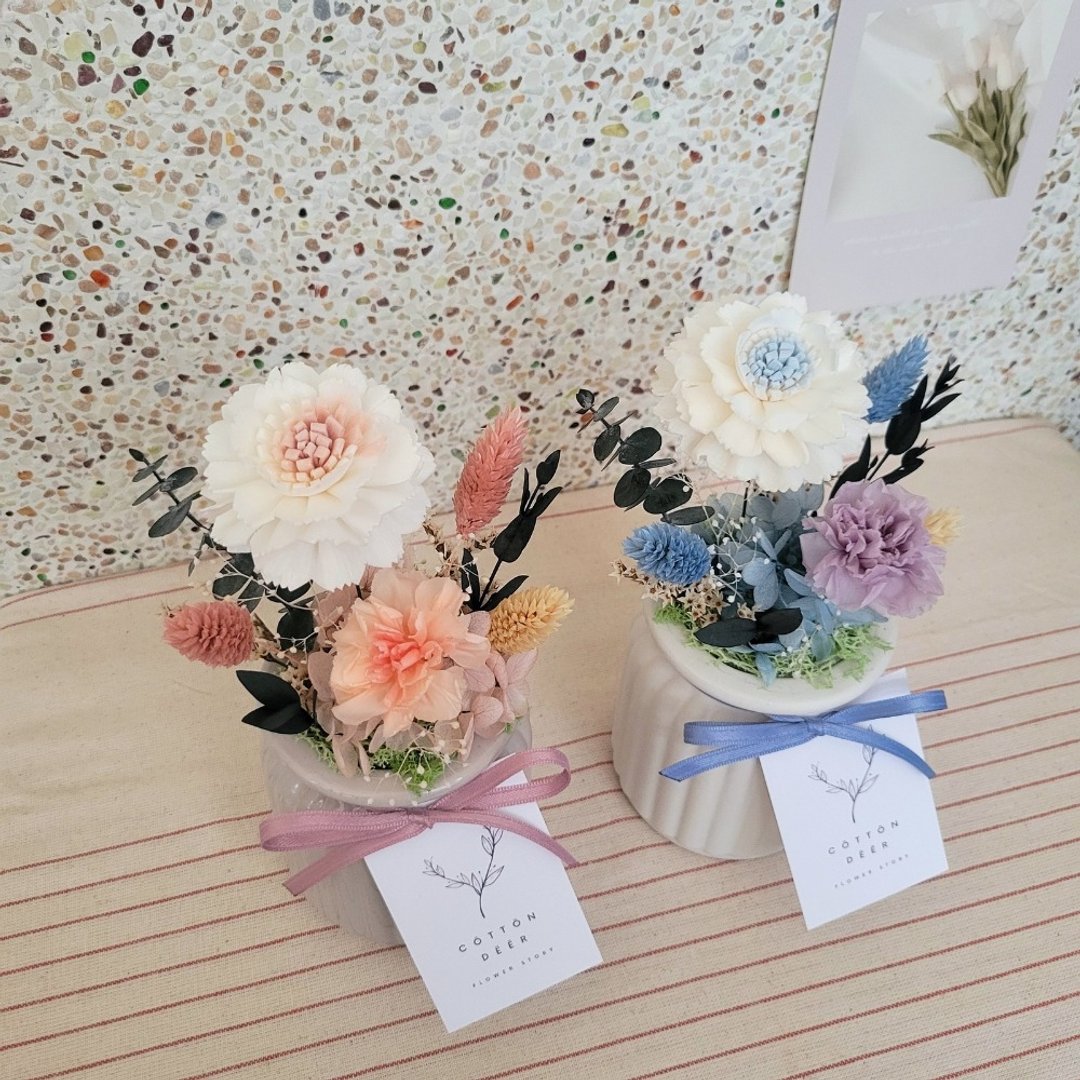 蕾丝康乃馨桌花_盆花_摆饰_附包装_母亲节花礼。线下取货 - 干燥花/捧花 - 植物．花 