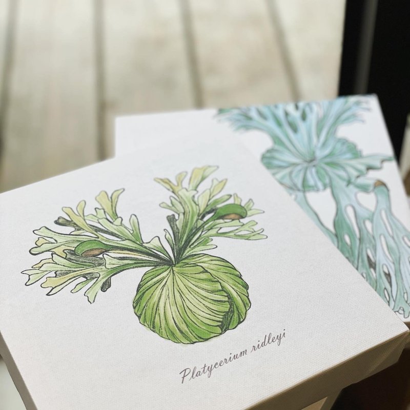 鹿角蕨手绘感 包边油画布框 (亚猴.象耳.女王) - 画框/相框 - 其他材质 透明