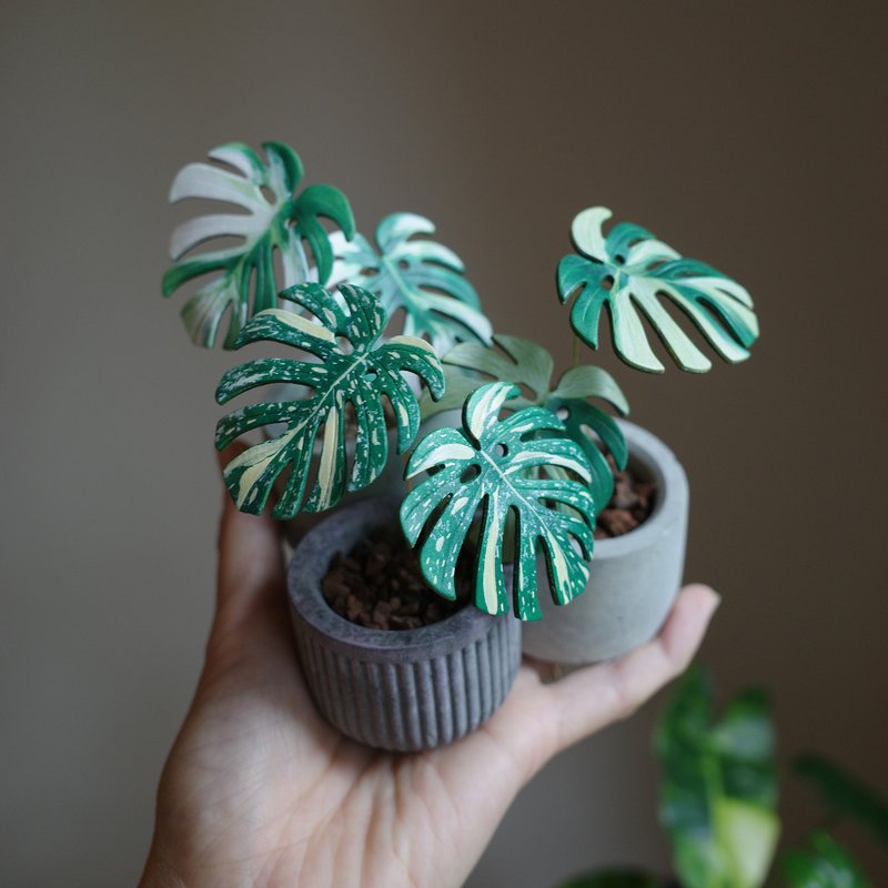 泰斑龟皮革迷你盆栽 - 植栽/盆栽 - 真皮 