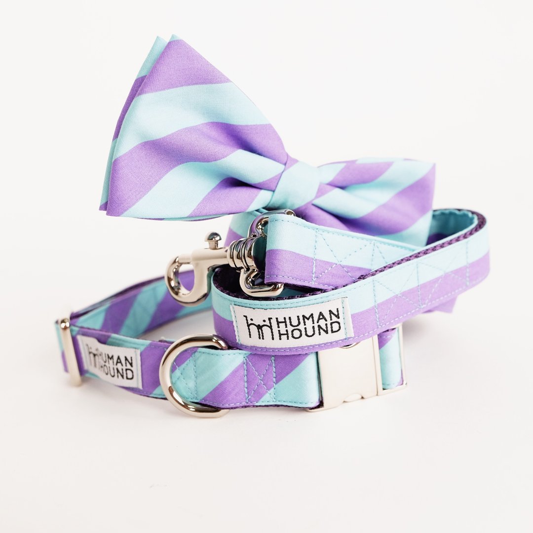 Purple-Pink Chevron - 项圈/牵绳 - 其他材质 多色