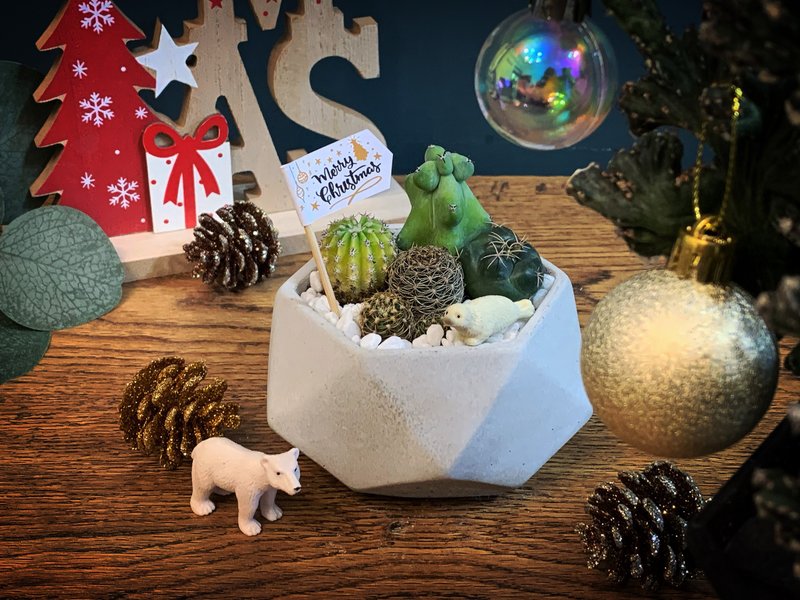 【24H寄出.超夯招财摆饰】缤纷钻石水泥盆栽-组盆 - 植栽/盆栽 - 水泥 灰色