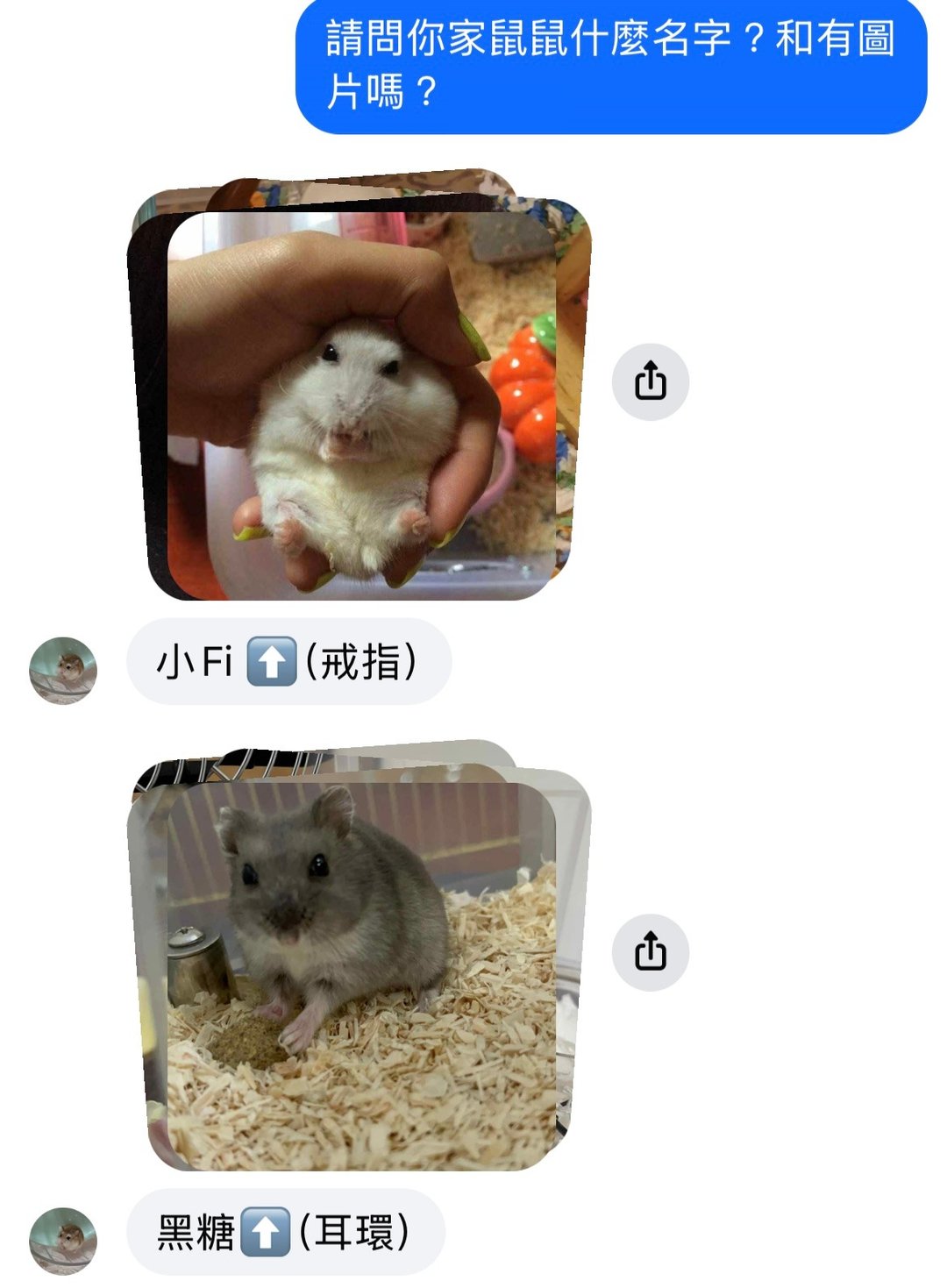 耳环钢戒指925银小Fi 戒指黑糖耳环元元耳环 - 耳环/耳夹 - 其他材质 