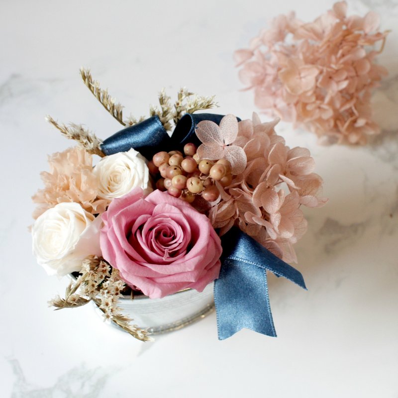 马口铁不凋花玫瑰 (莓果蓝) - 植栽/盆栽 - 植物．花 粉红色